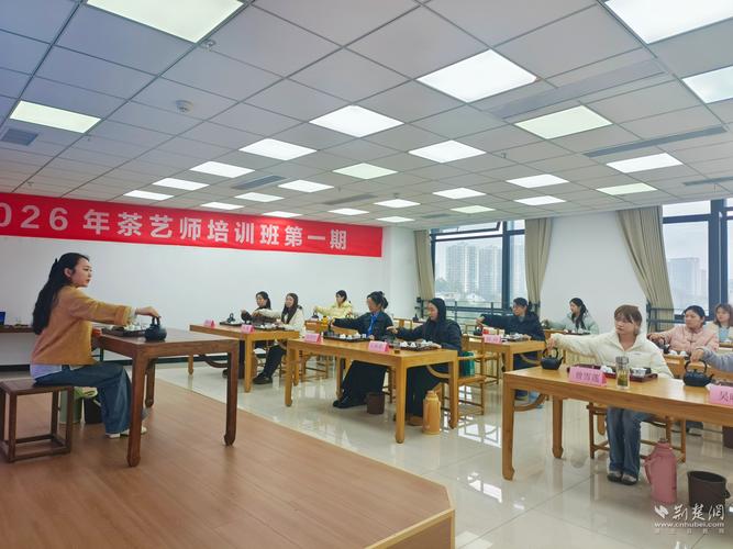法治惠民惠企实事项目宣传展示㉛丨恩施 创新“人力资源服务+”模式，激活发展新动能